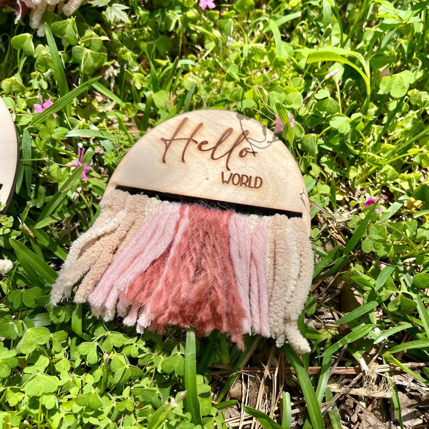 Milestone Tags- Thompson babies