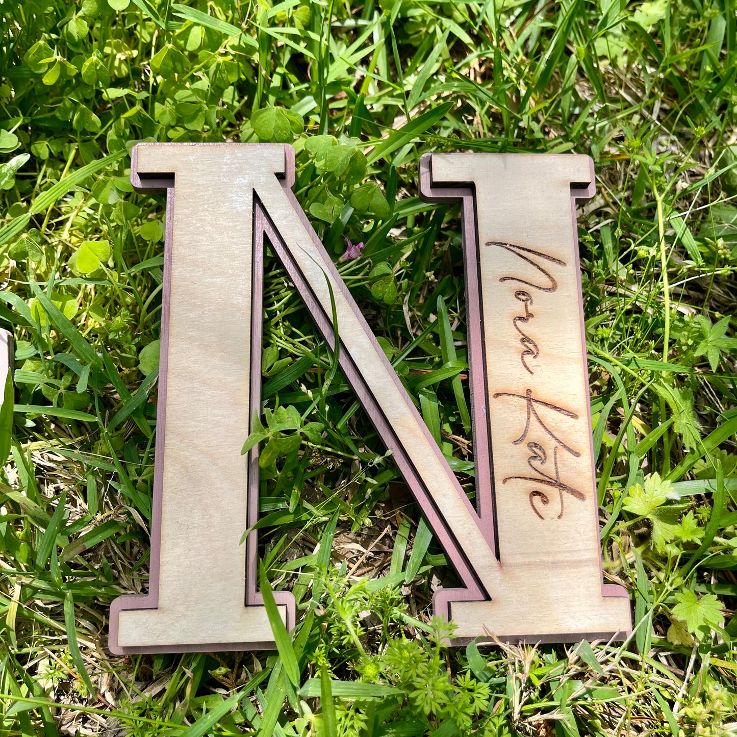 N & C milestone tag companions- Thompson babies
