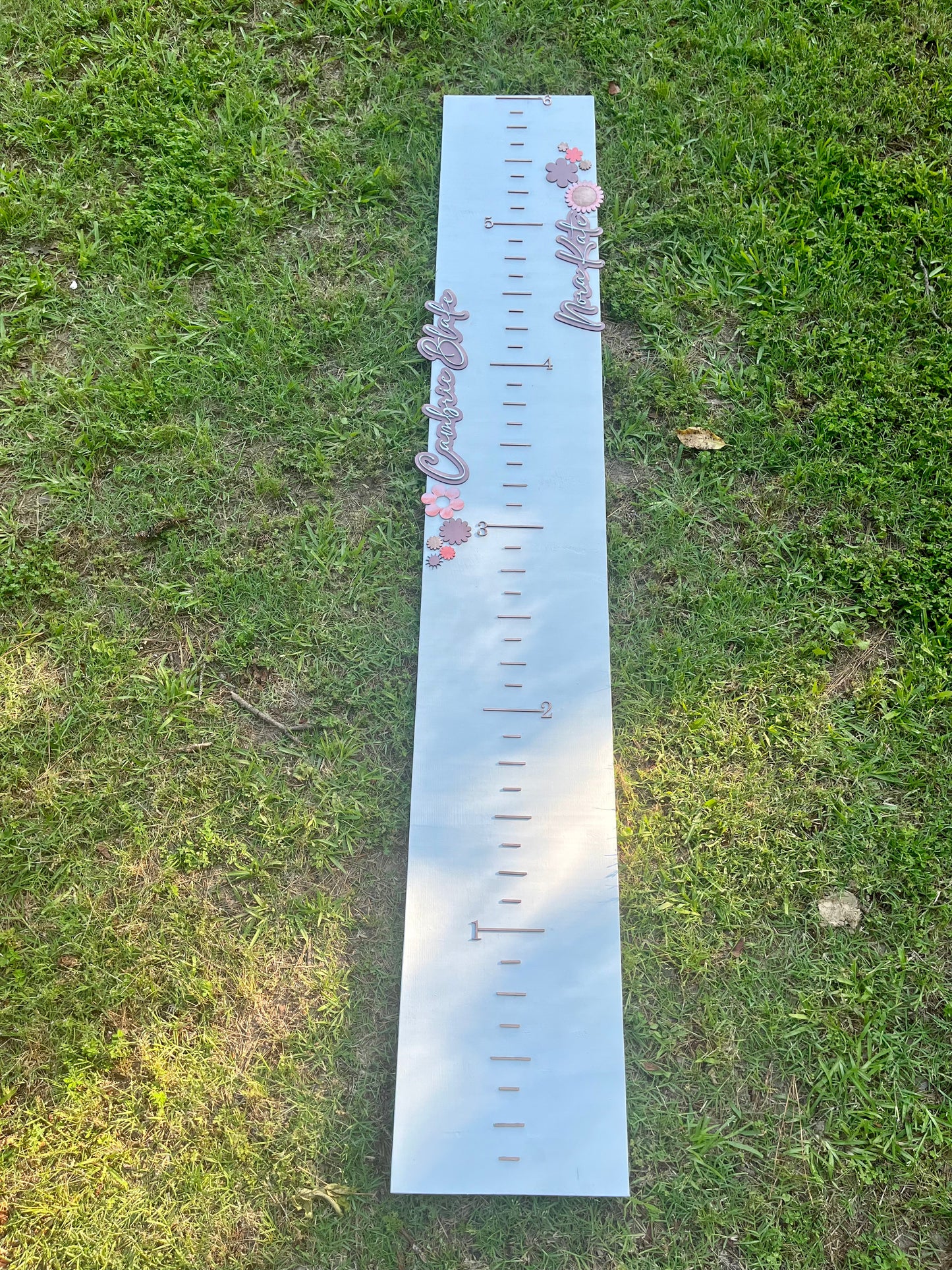 Height Chart -Thompson babies