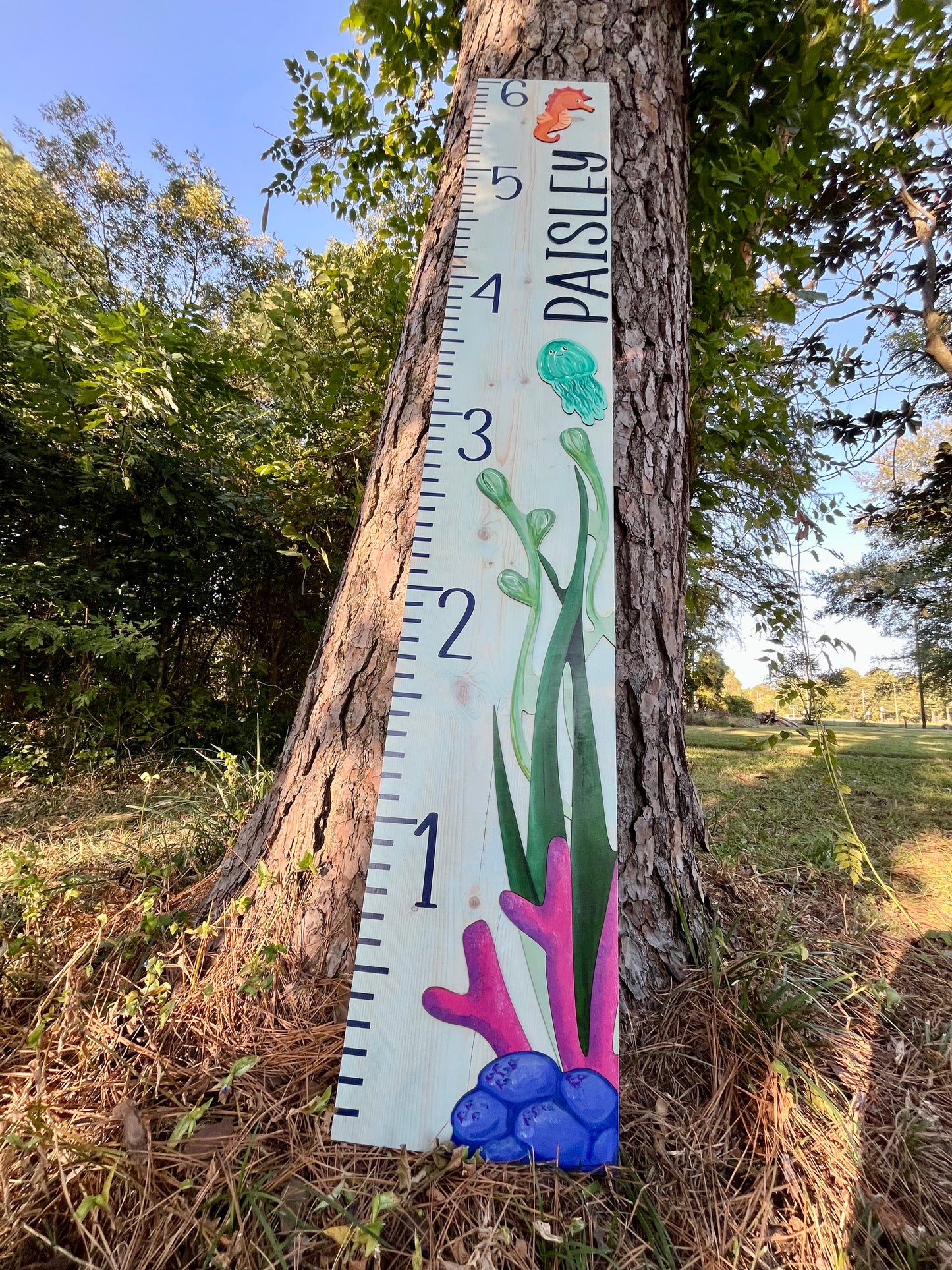 Paisley June's Height Chart - Vognet Baby