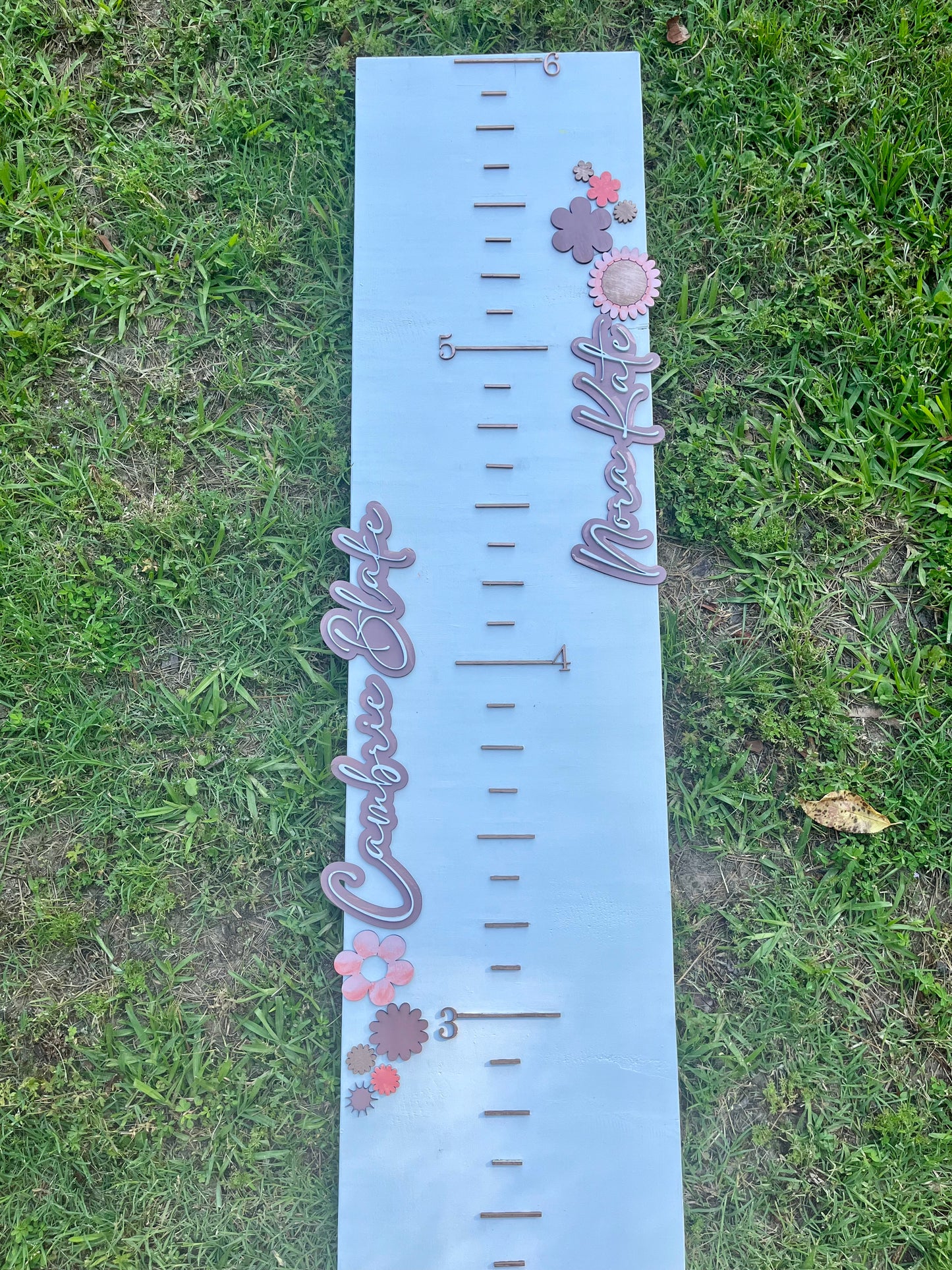 Height Chart -Thompson babies
