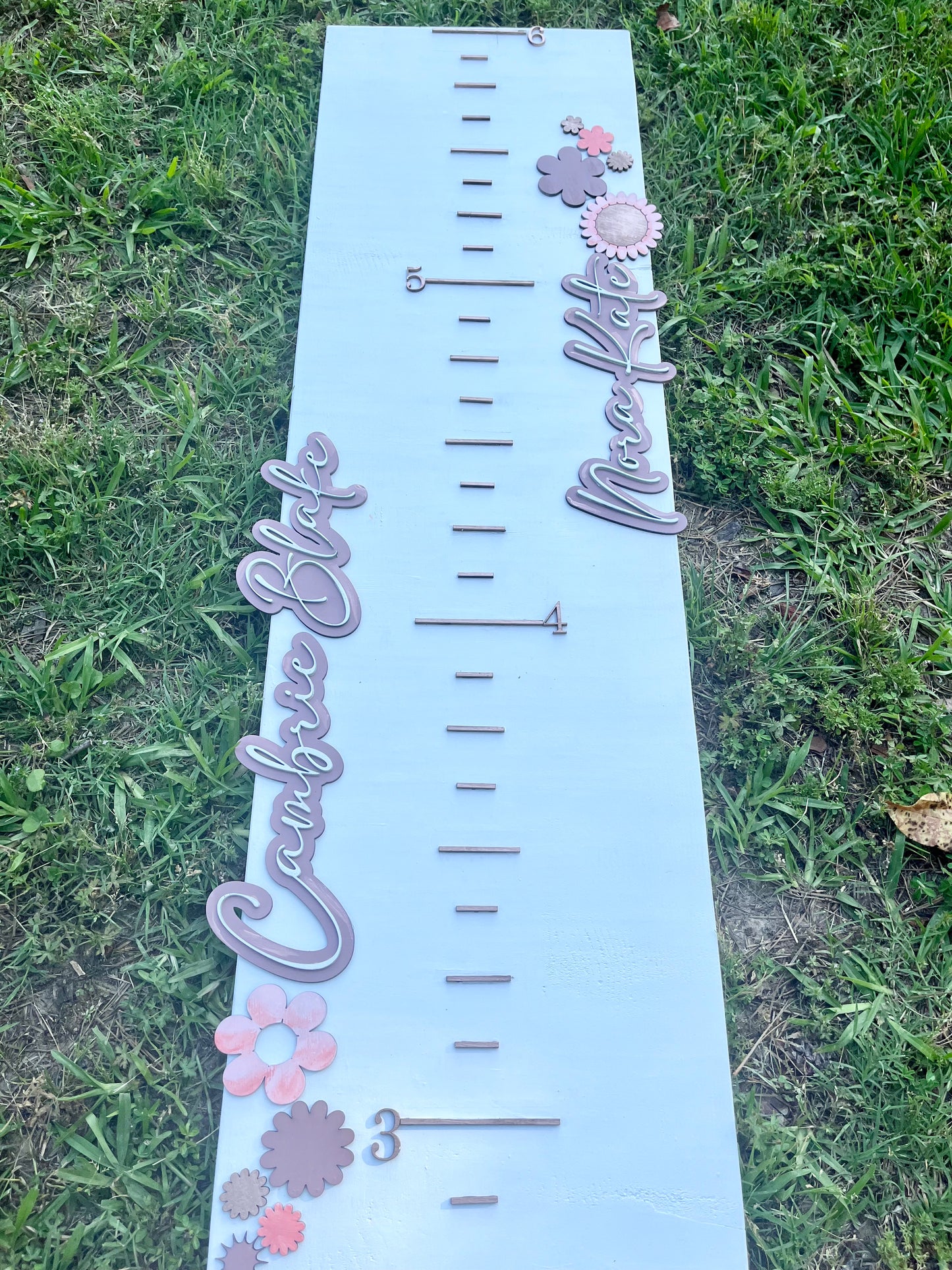 Height Chart -Thompson babies
