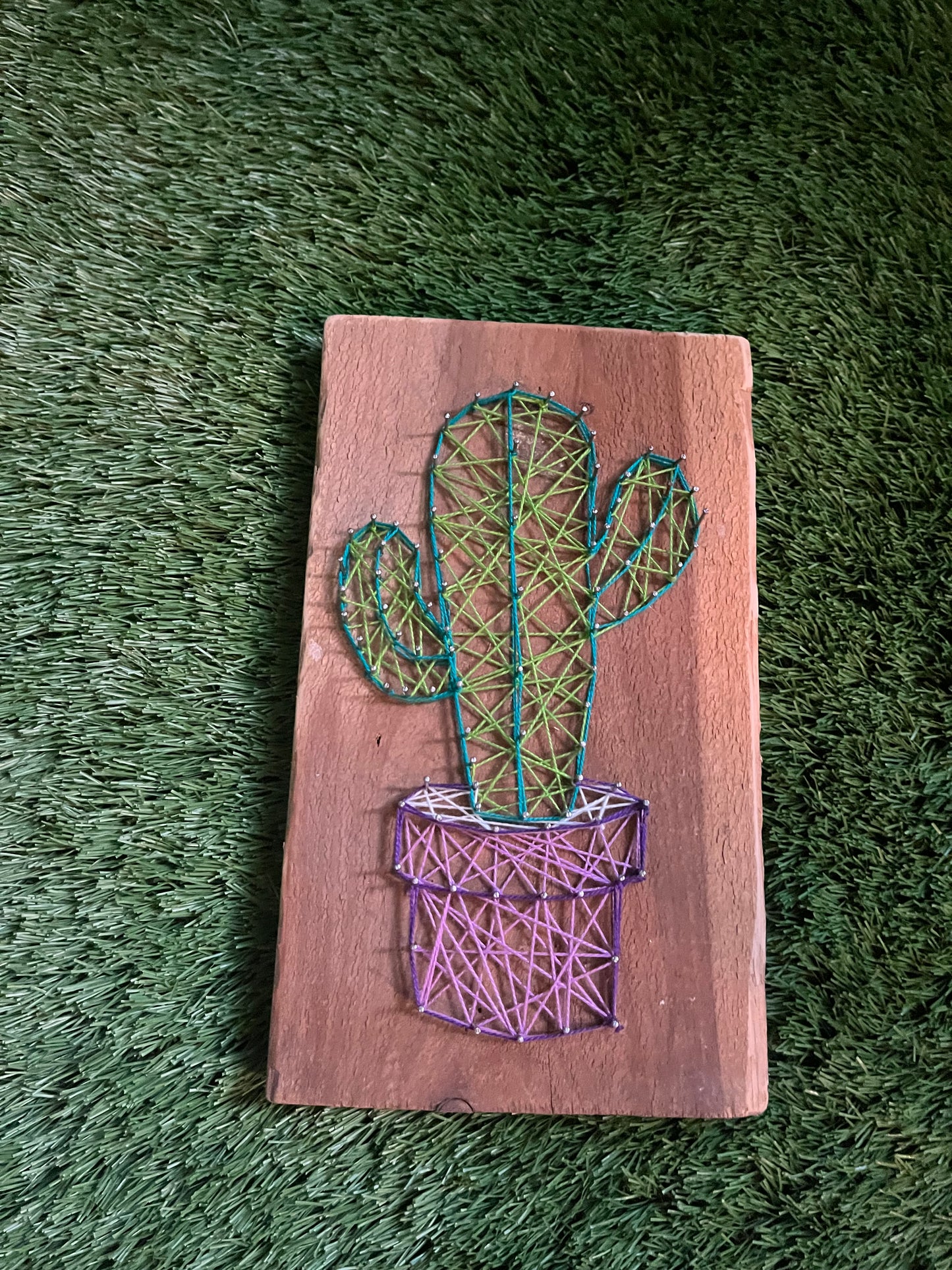 Cactus String Art
